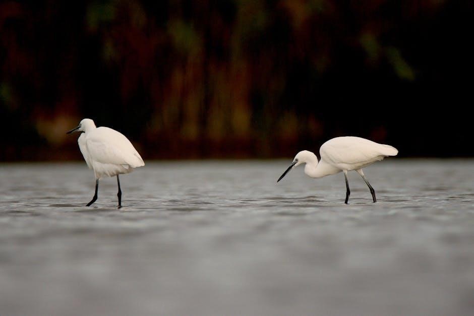 south dakota waterfowl hunting guides