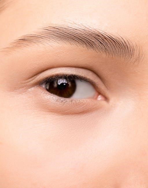 eye shape guide