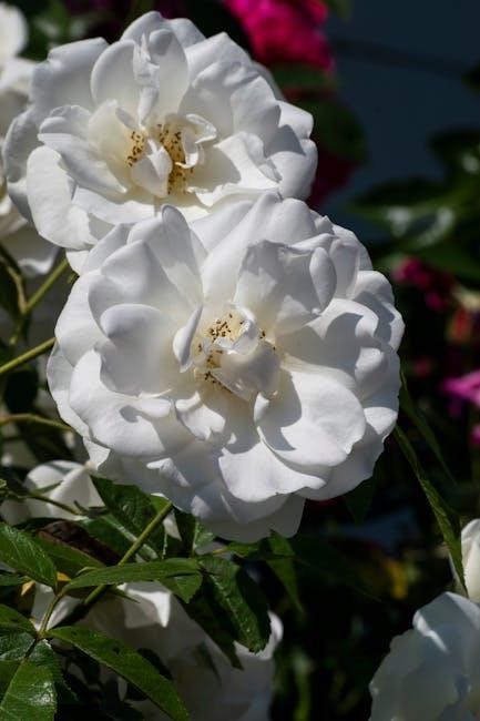 chronicles of eberron pdf